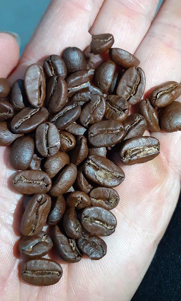 Cơ hội xuất khẩu hạt cà phê sang thị trường Pakistan NS-CP01-20L22