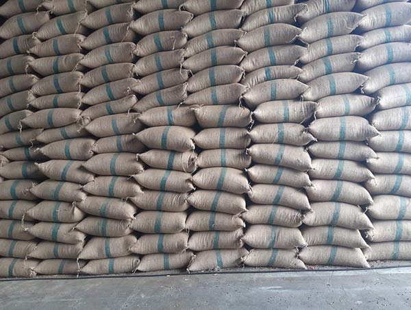 Cơ hội xuất khẩu hạt cà phê sang thị trường Pakistan NS-CP01-20L22