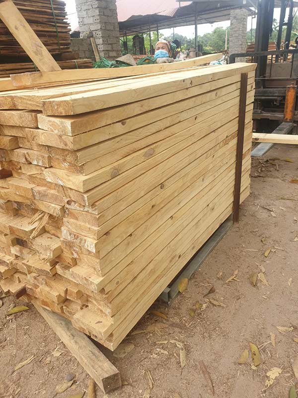 Cơ hội xuất khẩu gỗ thông xẻ sang thị trường Senegal G-THX01-03A23