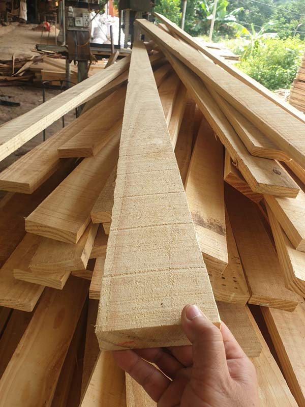 Cơ hội xuất khẩu gỗ thông xẻ sang thị trường Úc G-THX01-12A23