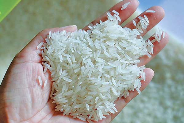 Cơ hội xuất khẩu gạo sang thị trường Senegal hoặc Congo NS-G01-17A23