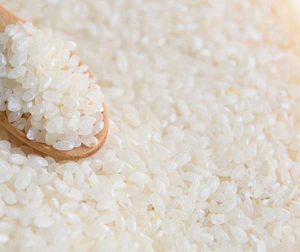 Cơ hội xuất khẩu gạo trắng hạt ngắn sang thị trường Ai Cập NS-G01-30A23