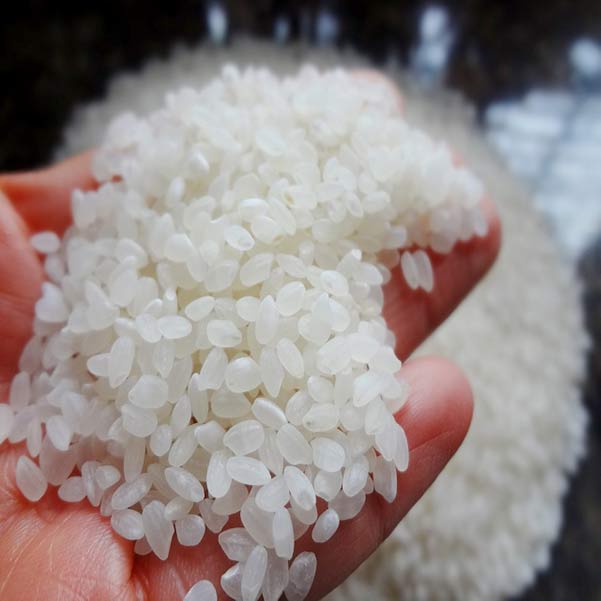 Cơ hội xuất khẩu gạo trắng hạt ngắn sang thị trường Ai Cập NS-G01-30A23