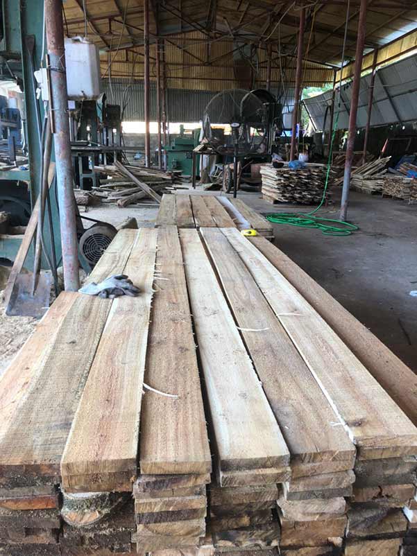 Cơ hội xuất khẩu gỗ keo xẻ sang thị trường Philippines G-KX01-16B23