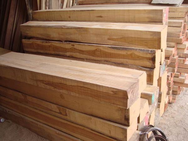 Cơ hội xuất khẩu gỗ teak xẻ sang thị trường Philipines G-TX01-02B23