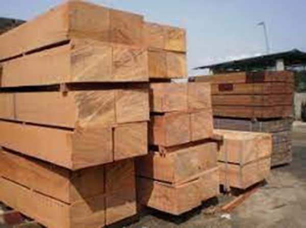 Cơ hội xuất khẩu gỗ teak sang thị trường Ấn Độ G-TX01-14B23