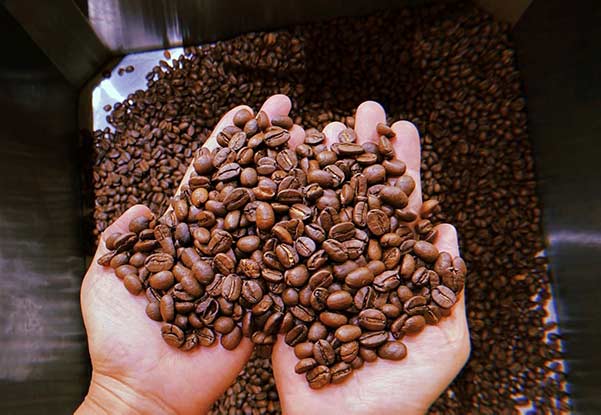 Cơ hội xuất khẩu hạt cà phê sang thị trường Lebanon NS-CP01-08B23