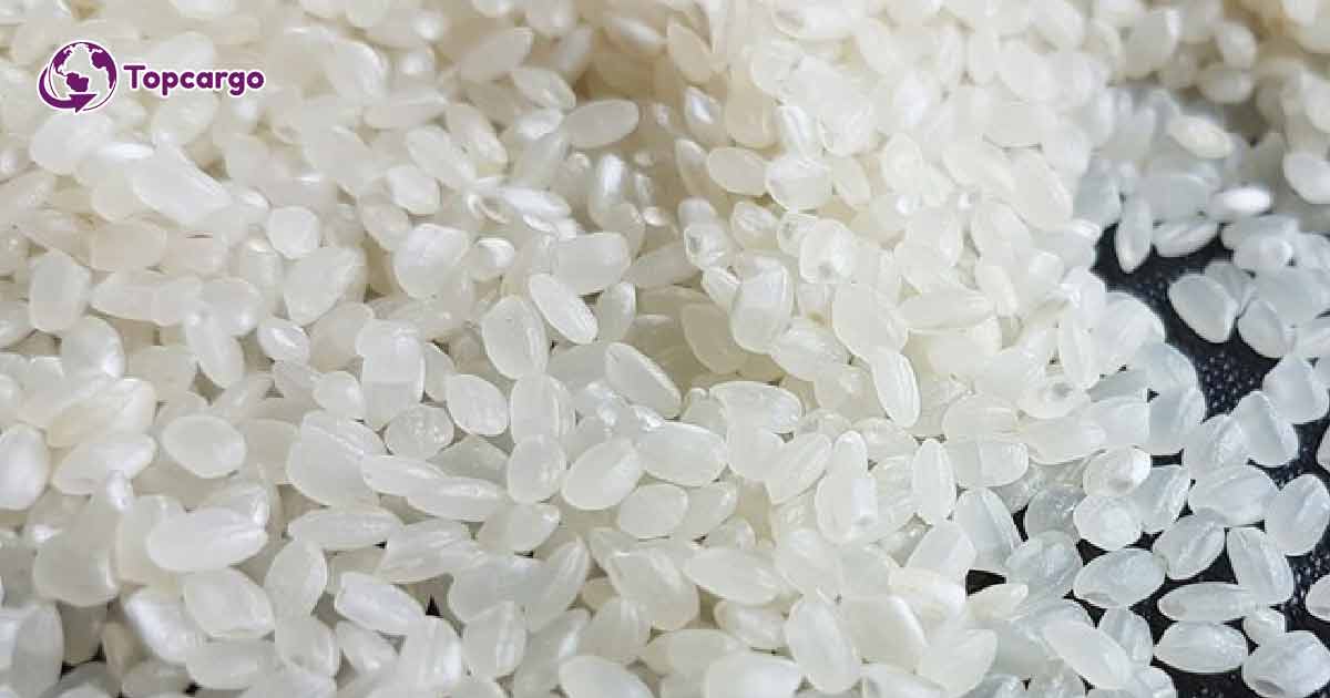 Cơ hội xuất khẩu gạo trắng hạt ngắn sang thị trường Thổ Nhĩ Kỳ NS-G01-06B23,