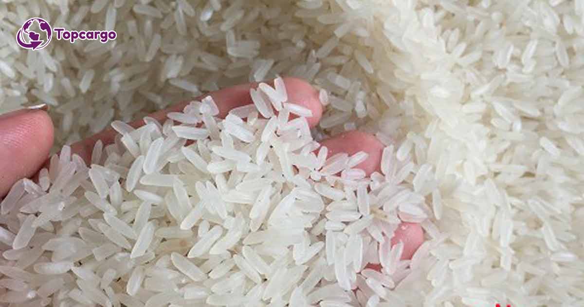 Cơ hội xuất khẩu gạo sang thị trường Senegal NS-G01-21B23