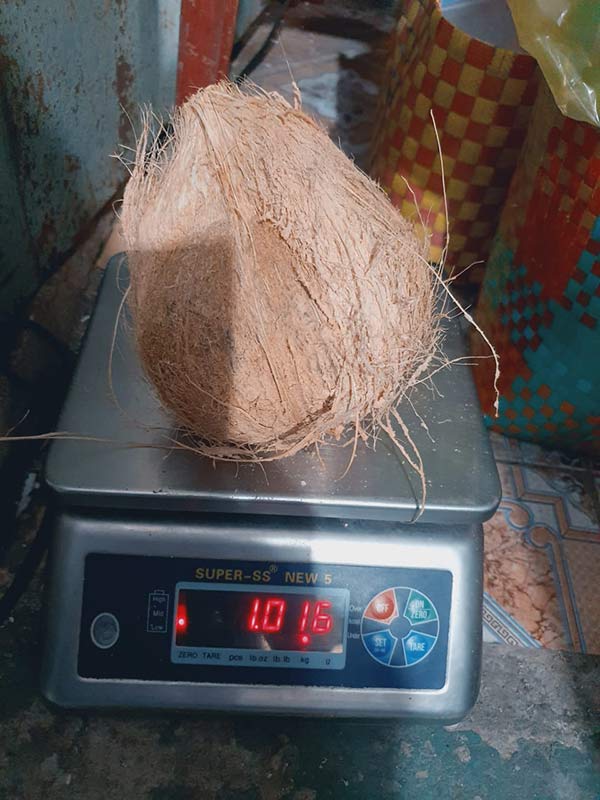Cơ hội xuất khẩu dừa và thanh long sang thị trường Bangladesh NS-NS01-07B23