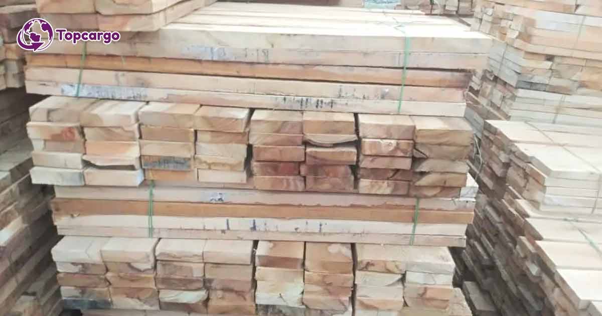 Cơ hội xuất khẩu gỗ bạch đàn xẻ sang thị trường Maldives G-BD01-02C23