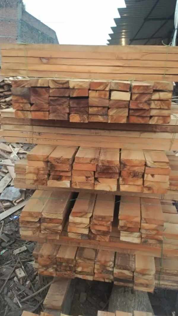 Cơ hội xuất khẩu gỗ bạch đàn xẻ sang thị trường Maldives G-BD01-02C23