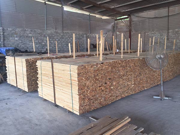 Cơ hội xuất khẩu gỗ xẻ sang thị trường Ấn Độ G-GX01-24C23