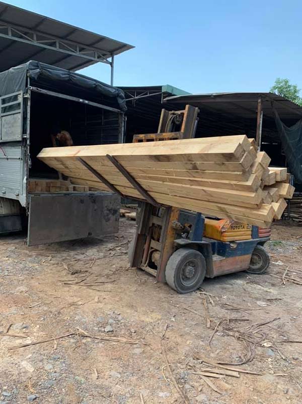 Cơ hội xuất khẩu gỗ thông xẻ sang thị trường Maldives G-THX01-10C23