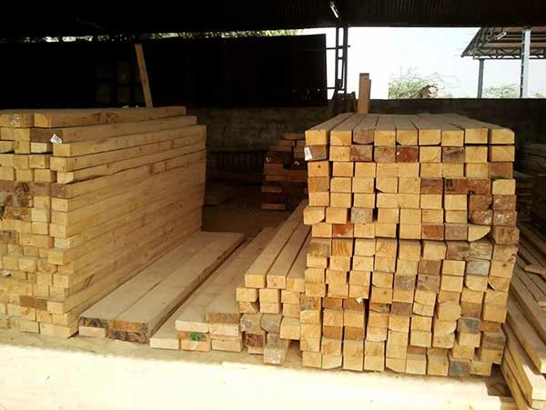 Cơ hội xuất khẩu gỗ thông xẻ sang thị trường Úc G-THX01-15C23