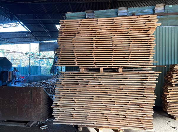 Cơ hội xuất khẩu gỗ thông xẻ sang thị trường Indonesia G-THX01-28C23