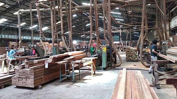 Cơ hội xuất khẩu gỗ thông xẻ sang thị trường Indonesia G-THX01-28C23