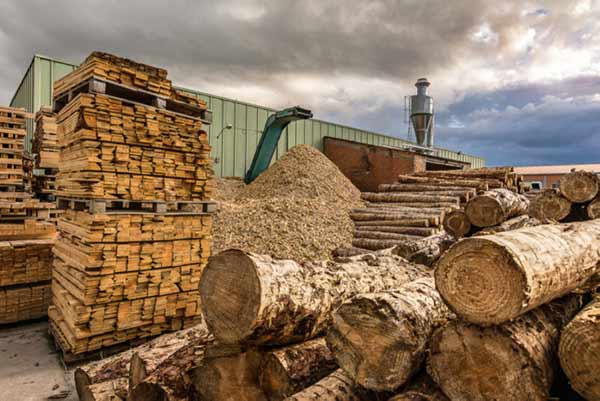 Cơ hội xuất khẩu gỗ thông xẻ sang thị trường Đài Loan G-THX01-31C23