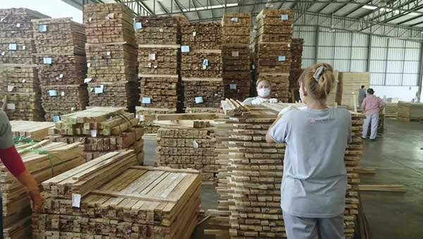Cơ hội xuất khẩu gỗ thông xẻ sang thị trường Đài Loan G-THX01-31C23