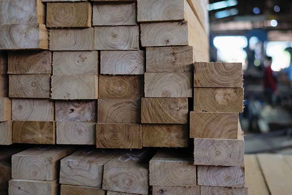 Cơ hội xuất khẩu gỗ teak xẻ thanh sang thị trường Ấn Độ G-TX01-13C23