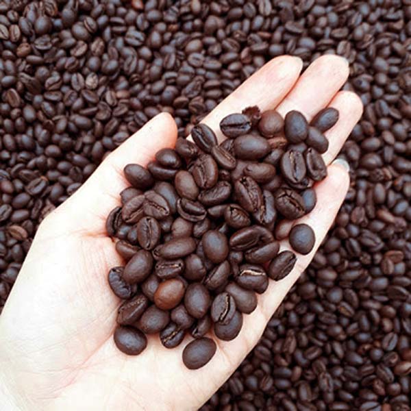 Cơ hội xuất khẩu hạt cà phê sang thị trường Iran NS-CP01-08C23