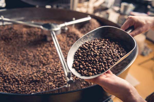 Cơ hội xuất khẩu hạt cà phê rang sang thị trường Thụy Điển NS-CP01-17C23