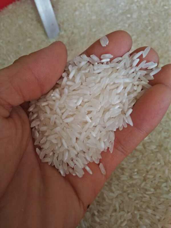 Cơ hội xuất khẩu 5,000 tấn gạo sang thị trường Trung Quốc NS-G01-07C23