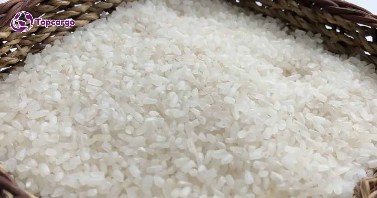 Cơ hội xuất khẩu gạo tấm sang thị trường Ai Cập NS-G01-23C23
