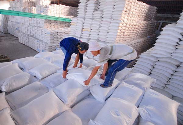 Cơ hội xuất khẩu gạo sang thị trường Chi lê NS-G01-24C23