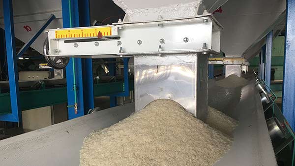 Cơ hội xuất khẩu 10,000 tấn gạo sang thị trường Kenya NS-G01-25C23