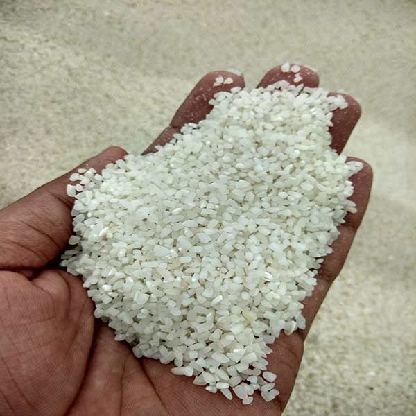 Cơ hội xuất khẩu gạo tấm sang thị trường Ai Cập NS-G01-31C23