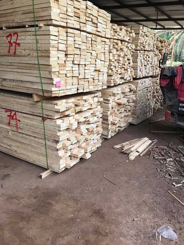 Cơ hội xuất khẩu gỗ cao su xẻ sang thị trường Kenya G-CSX01-05D23