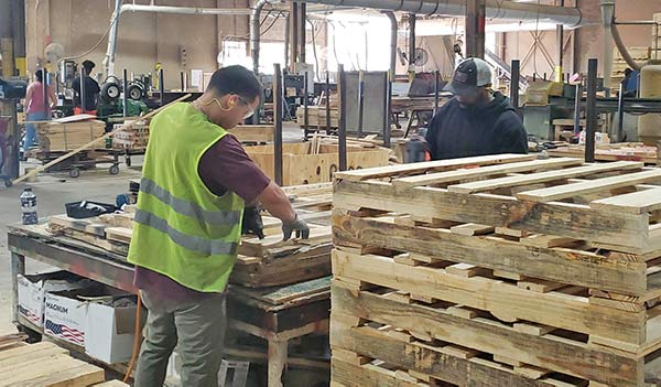 Cơ hội xuất khẩu pallet gỗ sang thị trường Trung Phi G-PL01-03D23