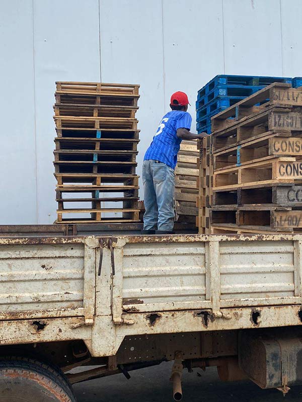 Cơ hội xuất khẩu pallet gỗ sang thị trường Hoa Kỳ G-PL01-12D23