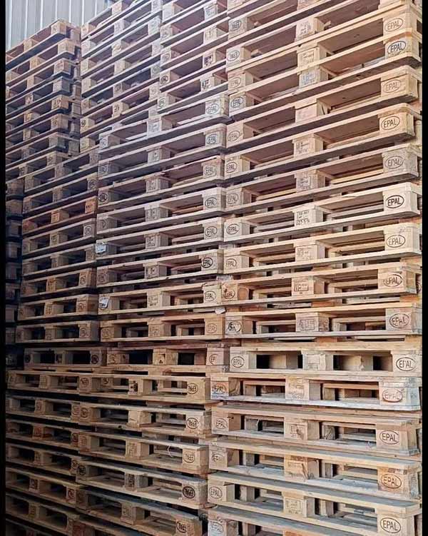 Cơ hội xuất khẩu pallet gỗ thông sang thị trường UAE G-PL01-15D23