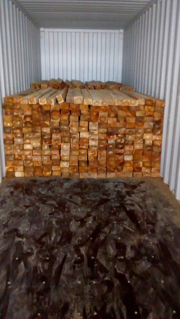 Cơ hội xuất khẩu gỗ thông xẻ sang thị trường Thụy Sĩ G-THX01-04D23