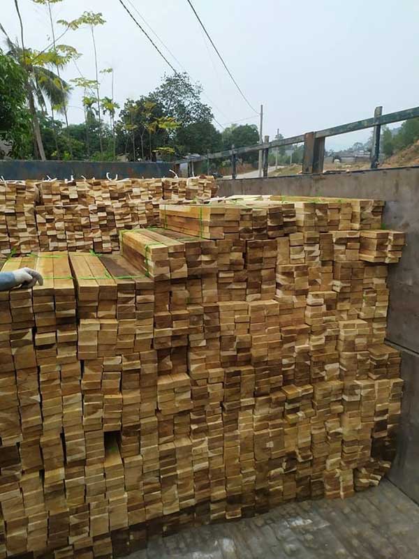 Cơ hội xuất khẩu gỗ thông xẻ sang thị trường Thụy Sĩ G-THX01-04D23