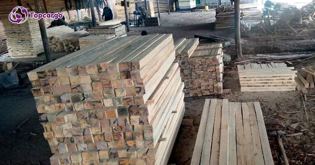 Cơ hội xuất khẩu gỗ thông xẻ sang thị trường UAE G-THX01-05D23