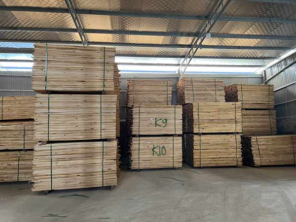 Cơ hội xuất khẩu gỗ thông xẻ sang thị trường Somalia G-THX01-26D23