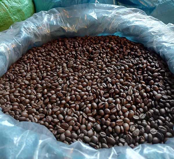 Cơ hội xuất khẩu hạt cà phê sang thị trường Thổ Nhĩ Kỳ NS-CP01-06D23