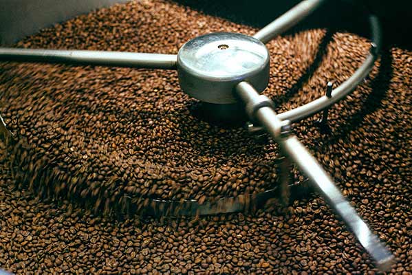 Cơ hội xuất khẩu hạt cà phê sang thị trường Thổ Nhĩ Kỳ NS-CP01-06D23