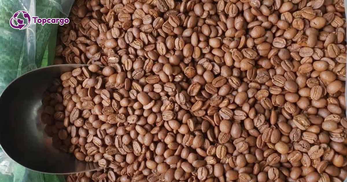 Cơ hội xuất khẩu hạt cà phê sang thị trường Châu Phi NS-CP01-11D23
