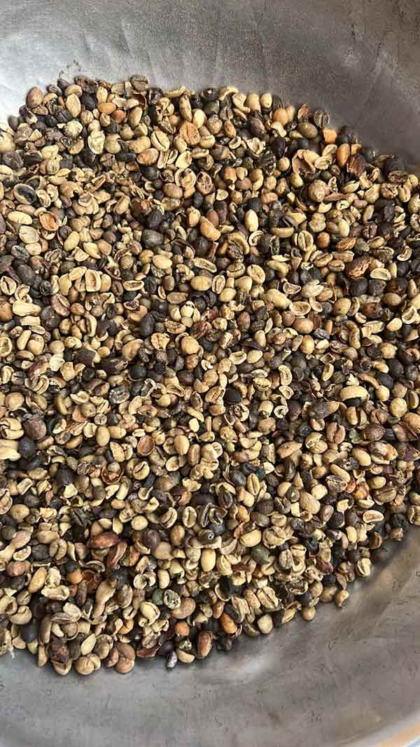 Cơ hội xuất khẩu hạt cà phê sang thị trường Châu Phi NS-CP01-11D23