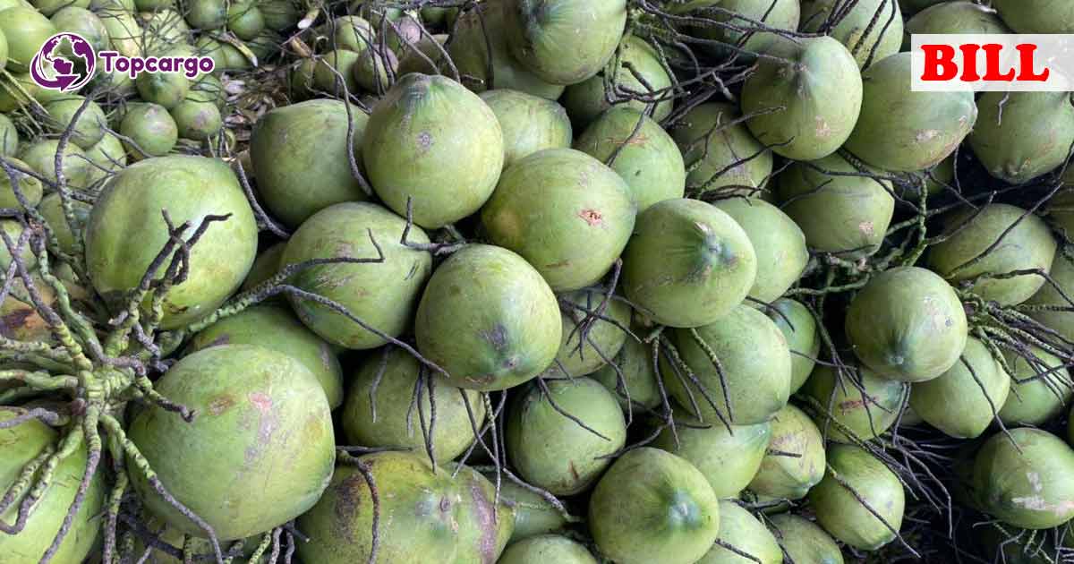 Cơ hội xuất khẩu dừa tươi sang thị trường Israel NS-D01-24D23