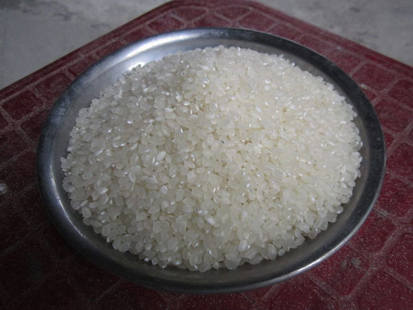 Cơ hội xuất khẩu gạo sang thị trường Đức NS-G01-13D23