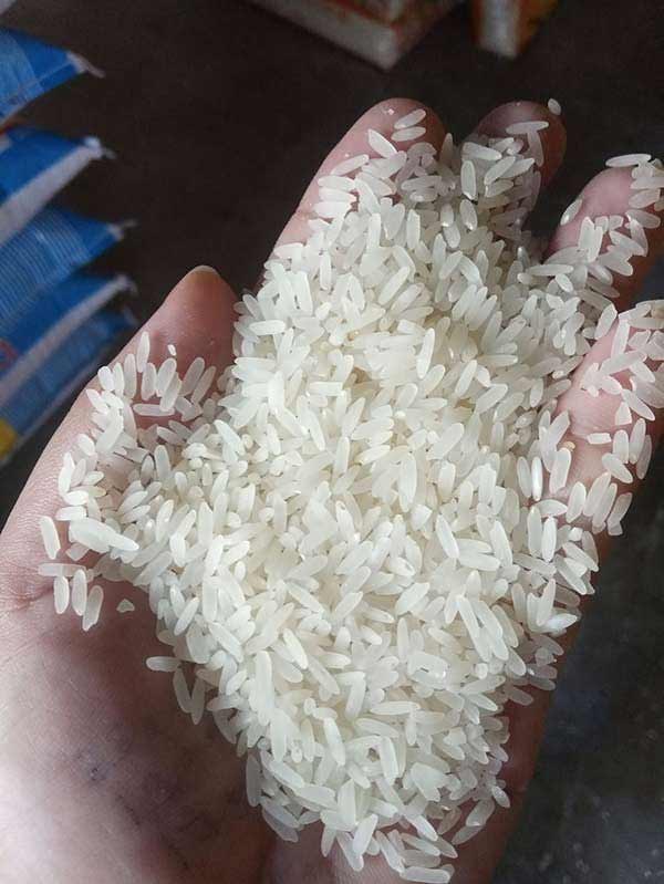 Cơ hội xuất khẩu gạo trắng hạt dài sang thị trường UAE NS-G01-18D23