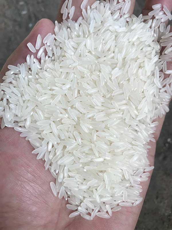 Cơ hội khẩu gạo sang thị trường Thổ Nhĩ Kỳ NS-G01-19D23