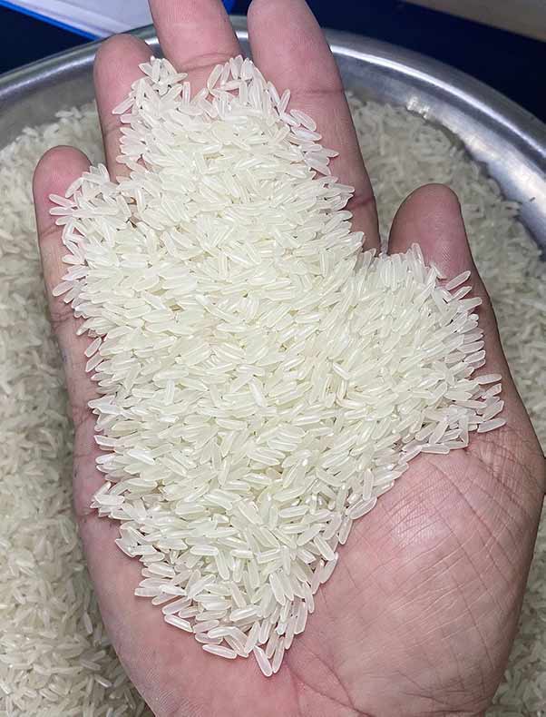 Cơ hội xuất khẩu gạo Jasmine sang thị trường Nigeria NS-G01-24D23