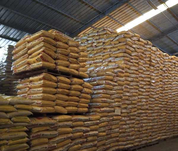 Cơ hội xuất khẩu gạo sang thị trường Indonesia NS-G01-26D23