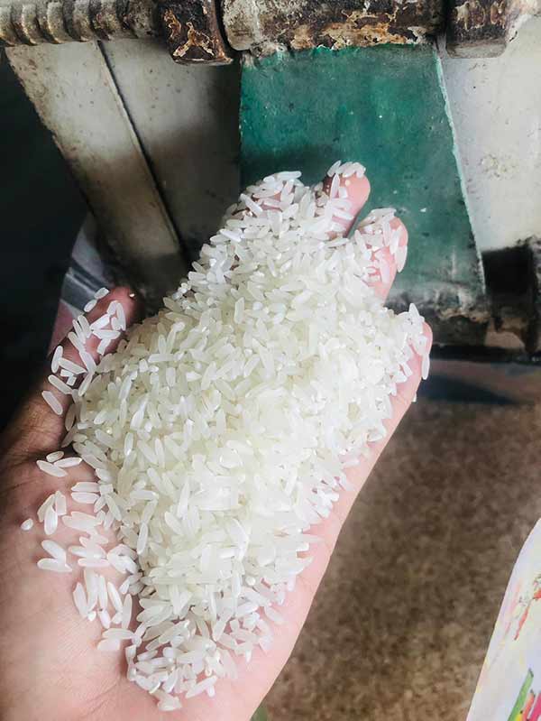 Cơ hội xuất khẩu gạo trắng hạt dài sang thị trường Benin NS-G02-26D23